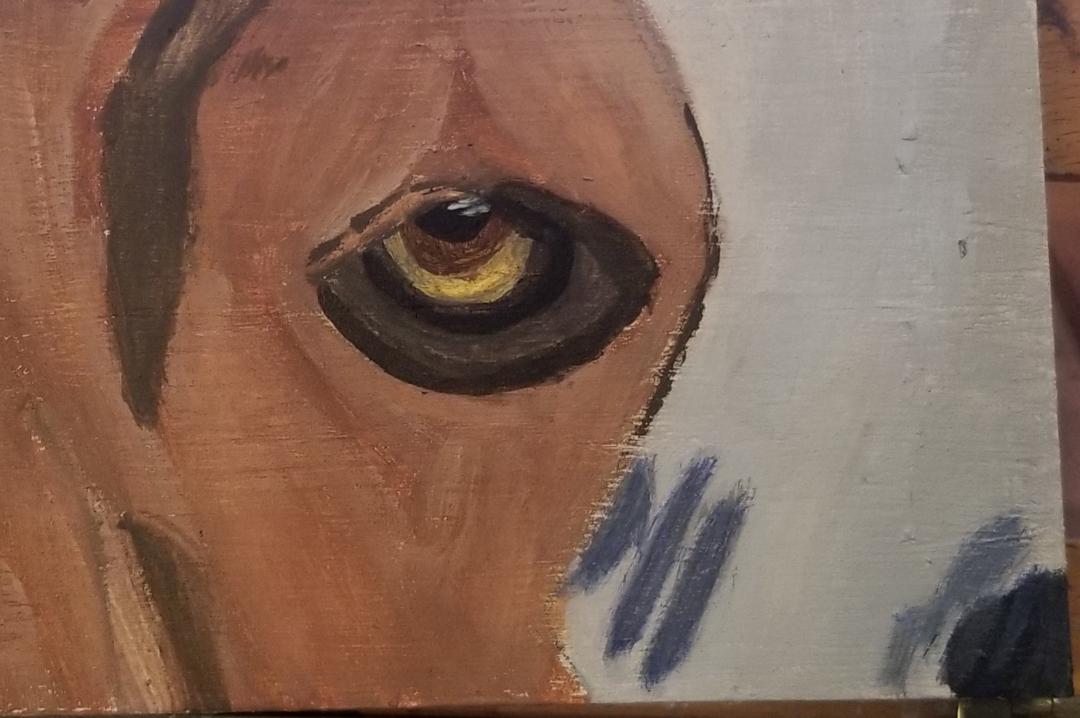 painting dog eyes