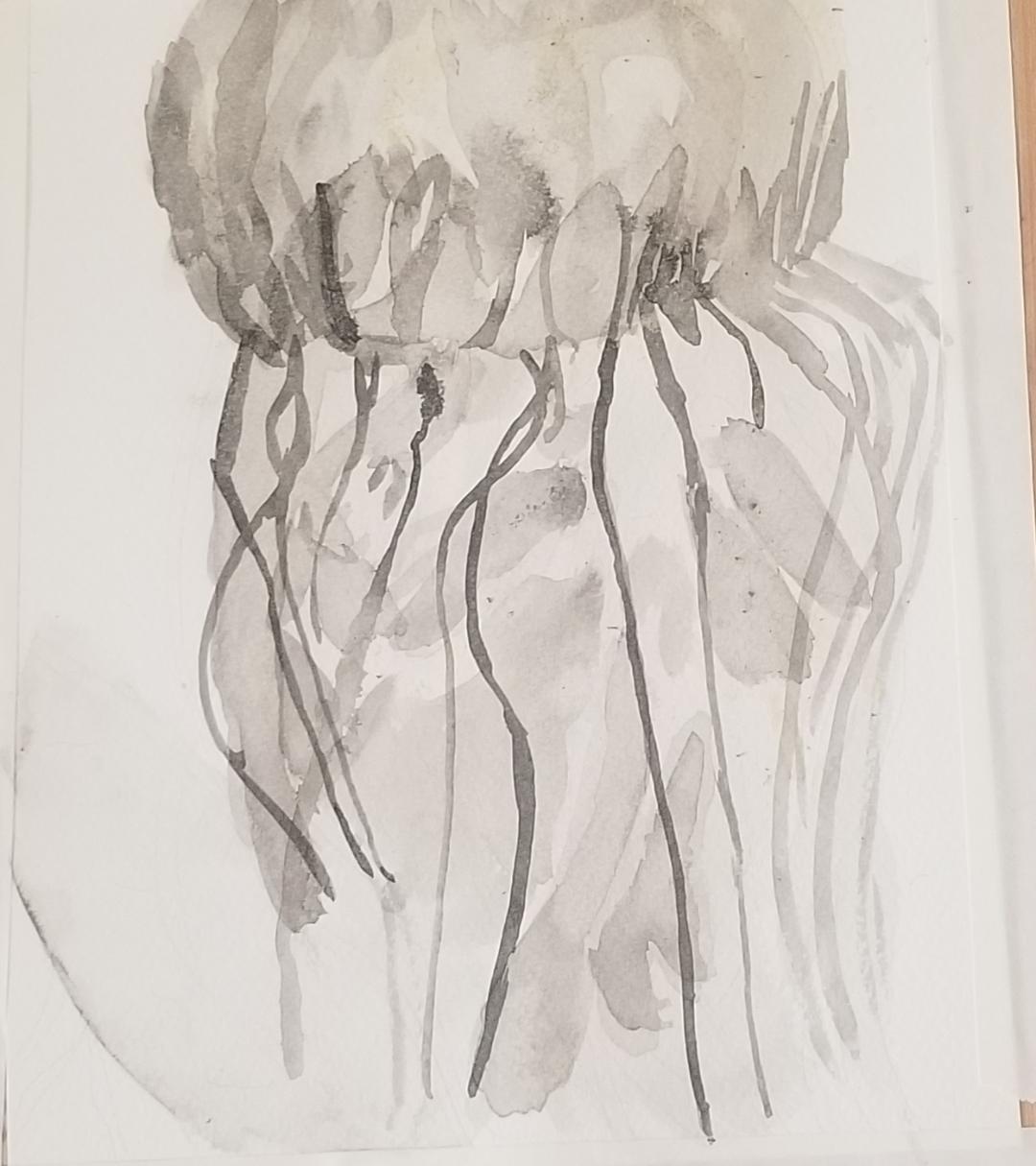 Jellyfish In India Ink - BRING OUT YOUR CREATIVITY